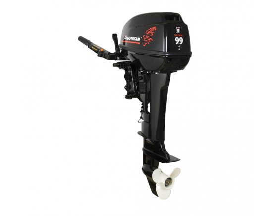 Лодочный мотор Golfstream T 9.9 BMS